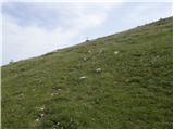 Globasnica / Globasnitz - Veška kopa/Wackendorfer Spitze